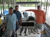 (06/06/2018) - Nice Striped Bass